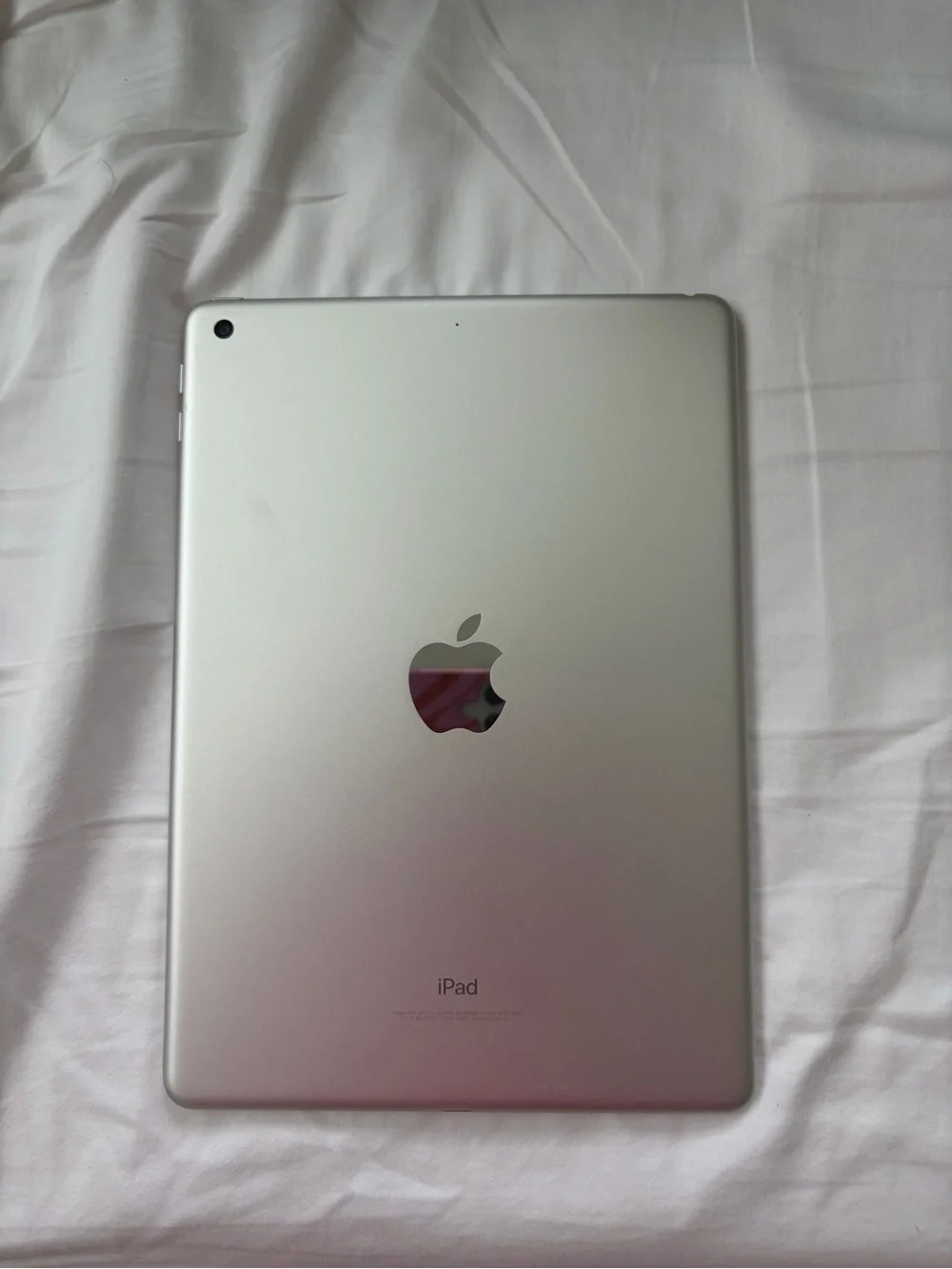 Apple iPad